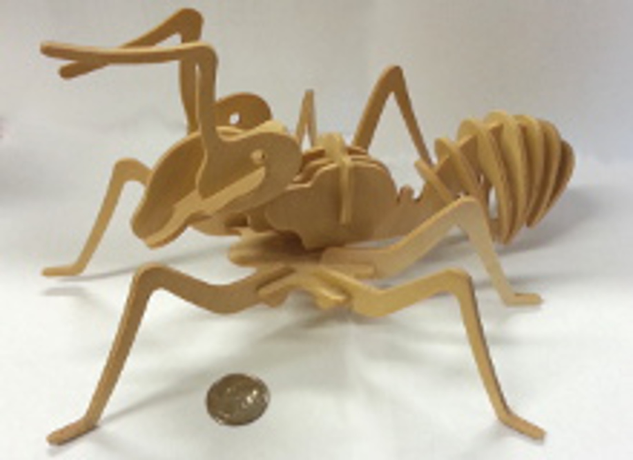 3D Wooden Worker Ant Puzzle