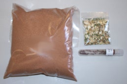 Ant Colony Rejuvenation Kit