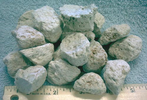 Bag of 20 Floating Pumic Rocks