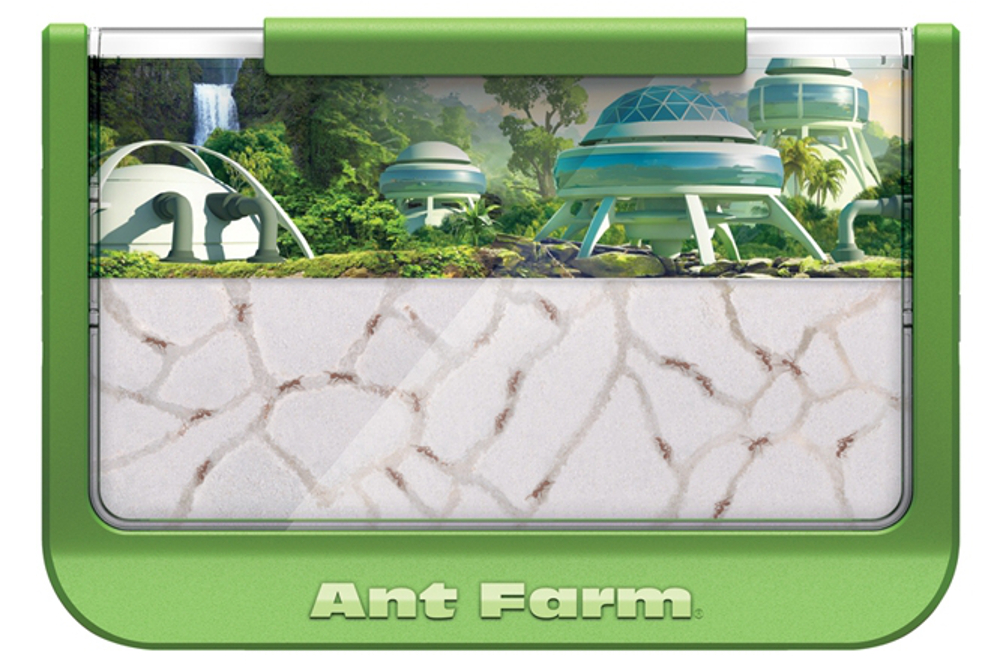 Antopia Rainforest Ant Farm